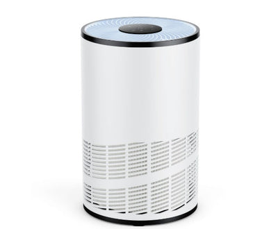 Home Air Purifiers