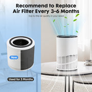 Home Air Purifiers