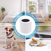 Replacement Filters for Air Purifiers