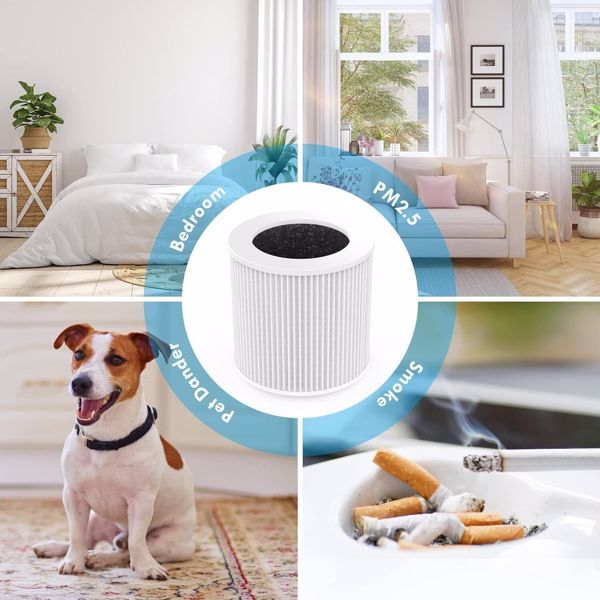 Replacement Filters for Air Purifiers